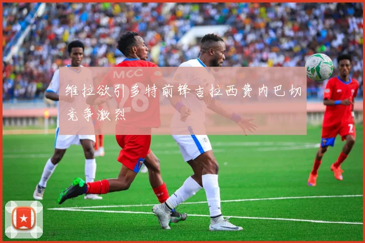 维拉欲引多特前锋吉拉西费内巴切竞争激烈