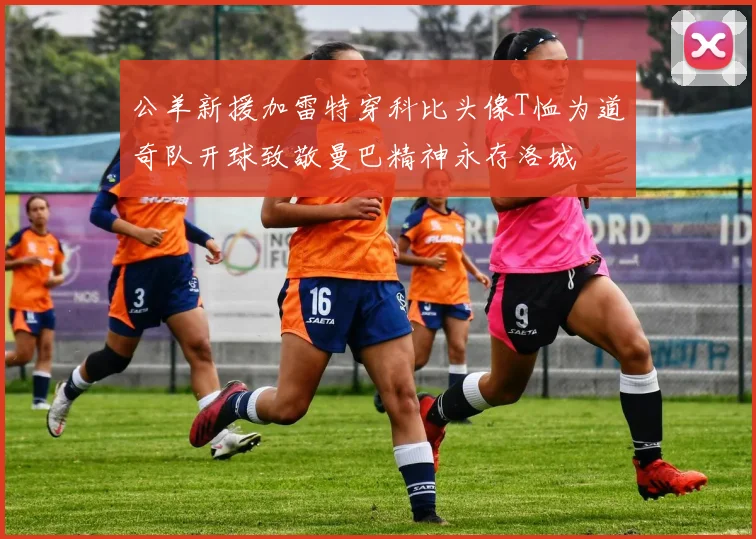 公羊新援加雷特穿科比头像T恤为道奇队开球致敬曼巴精神永存洛城
